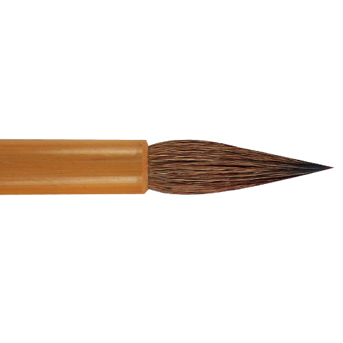 BC1601  |Products|Brushes