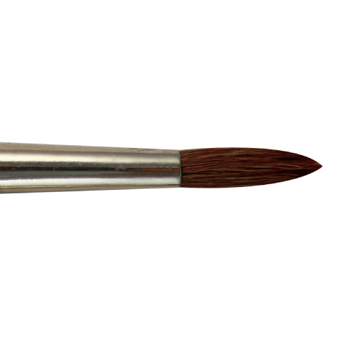 BW0801  |Products|Brushes