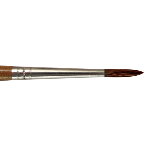 BW0803  |Products|Brushes