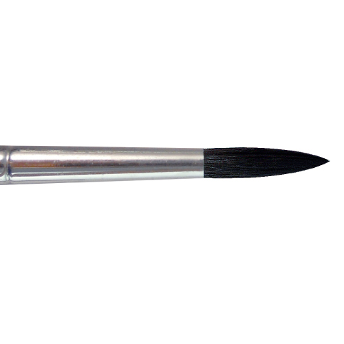 BW1404  |Products|Brushes