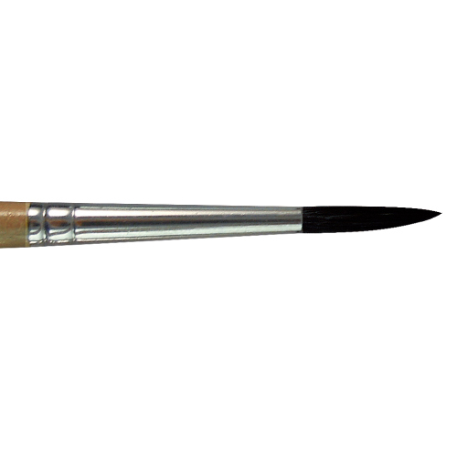 BW1503  |Products|Brushes