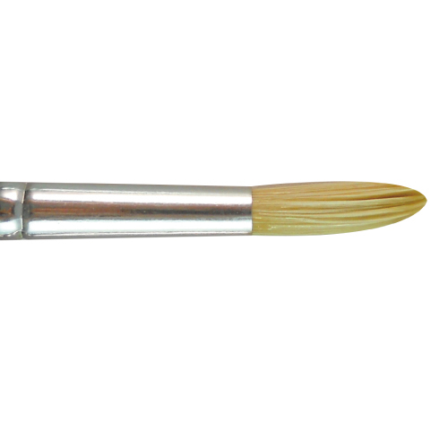BW1902  |Products|Brushes